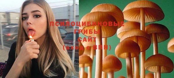 кристаллы Коряжма